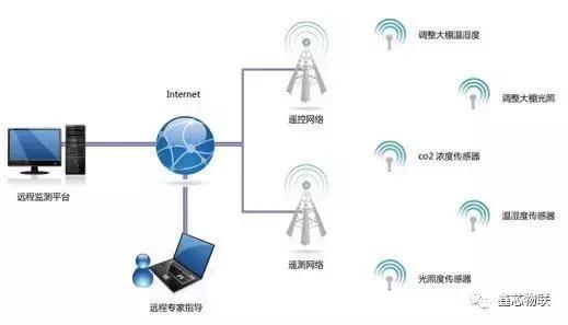 物聯(lián)網(wǎng)智能畜禽養(yǎng)殖管理系統(tǒng) 開(kāi)啟現(xiàn)代養(yǎng)殖新篇章